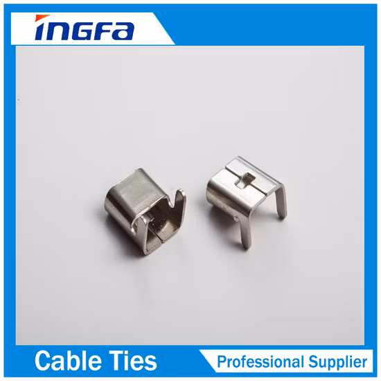 Verpackungsschnalle mit Edelstahlschnalle